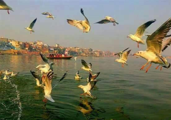 Shiva Ganges View Guest House Varanasi Exterior photo